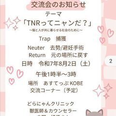 野良猫の為の交流会