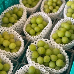 1kgあります！【シャインマスカットお徳用✨🍇】の画像