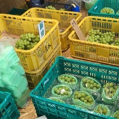 1kgあります！【シャインマスカットお徳用✨🍇】の画像