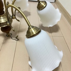 お花型照明の画像