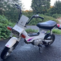 ホンダ シャリー 角目 12vの画像