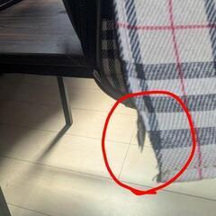 犬キャリーバックの画像