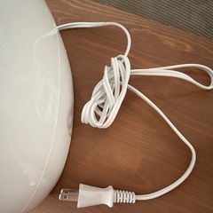 美顔器スチーマーの画像