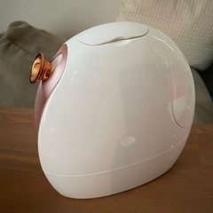 美顔器スチーマーの画像
