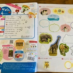 ポピー　あおどりの画像