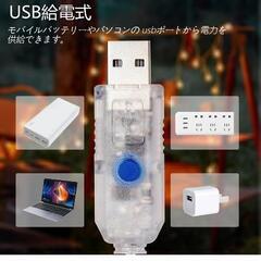 新品未使用フェアリーライト LED電球 イルミネーションライト 6M 40個 USB給電式 ガーランドライト ストリングライト キャンプ ライト デコレーションライト 屋内 ナイトライト 屋外 ガーデンライト 防水 防塵仕様 

の画像