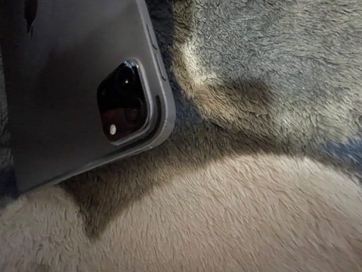 iPadPro11インチ第2世代 128GB Apple Pencil付き訳あり