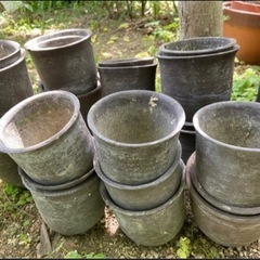 鉢
の画像
