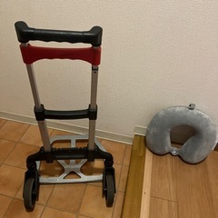 MAGNA CARTとネックピローの画像