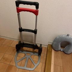 MAGNA CARTとネックピローの画像