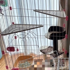 猫ケージのみ売りますの画像