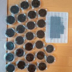 【幼虫5頭】トカラノコギリクワガタ（悪石島産）の画像