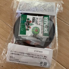 ひまわりの画像