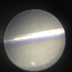 中古 経年品 コピター 顕微鏡 マイクロスコープ 150×-900x 自由研究 理科 観察 実験　の画像