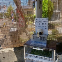 無人100円野菜無農薬の画像