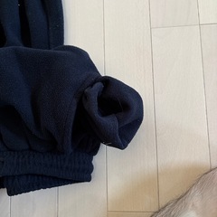 メンズ パンツの画像