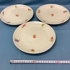 2507-17  コレール　お皿の画像