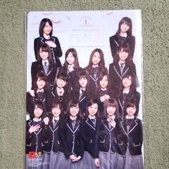乃木坂46 ノギザカスキッツクリアファイル&ビジュアルシートとおまけクリアファイルの画像