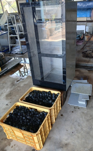 大型濾過槽と大量の濾過ボール