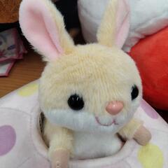 0730-203 うさぎぬいぐるみ　AQUA Co., Ltd.の画像