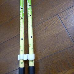 REVITA トレッキングポール、ウォーキング  ０円の画像