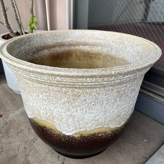 睡蓮鉢　信楽焼　特大の画像