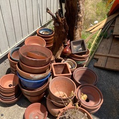 植木鉢セット売り！の画像