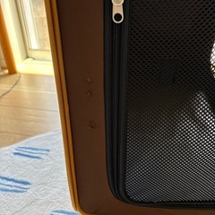 ペット用品　まとめ売りの画像