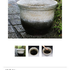 睡蓮鉢　信楽焼　特大の画像