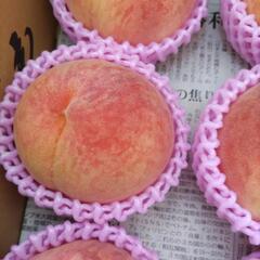 犬山しのおかの桃　よしひめ　大玉　6個入1箱(半箱)　税込1300円の画像