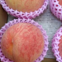 犬山しのおかの桃　よしひめ　大玉　6個入1箱(半箱)　税込1300円の画像