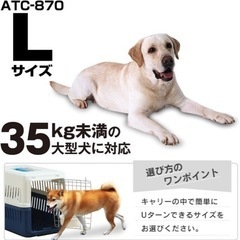 ペットクレートの画像