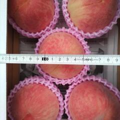 犬山しのおかの桃　よしひめ大玉　5個入1箱(半箱)　税込1100円の画像