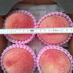 犬山しのおかの桃　よしひめ大玉　4個入1箱(小箱)　税込900円の画像