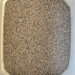Super vest20 埋没材の画像