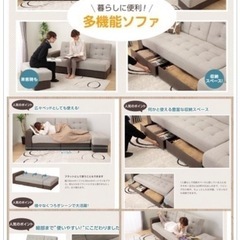 ニトリ多機能ソファベッド　スルーツ付の画像