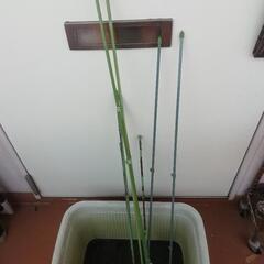 園芸中古　菜園プランターの画像