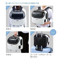 GEX ÖSOTOキャリー traveler トラベラー Jr. ホワイトの画像