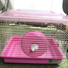 ハムスターゲージ
の画像