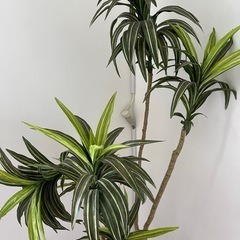 フェイク　観葉植物　セット　植木　インテリア　飾りの画像