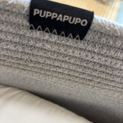 今日限定！クーファン　プッパプーポ（PUPPAPUPO）の画像
