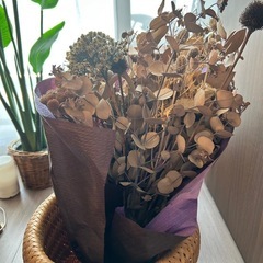 ドライフラワーの画像