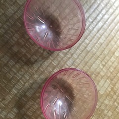 ハム散歩用ボールの画像