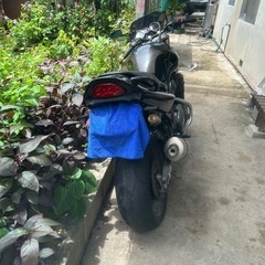 GSf1200の画像