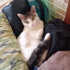 仕事クビになった人