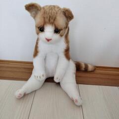 ネコ　ぬいぐるみの画像