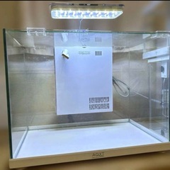 （交渉中）水槽まとめ売り　アクアリウム　メダカ、熱帯魚、川魚、爬虫類、両生類などに　の画像