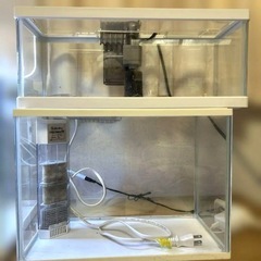 （交渉中）水槽まとめ売り　アクアリウム　メダカ、熱帯魚、川魚、爬虫類、両生類などに　の画像