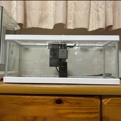 （交渉中）水槽まとめ売り　アクアリウム　メダカ、熱帯魚、川魚、爬虫類、両生類などに　の画像