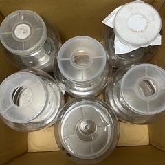 菌糸ボトルお譲りしますの画像
